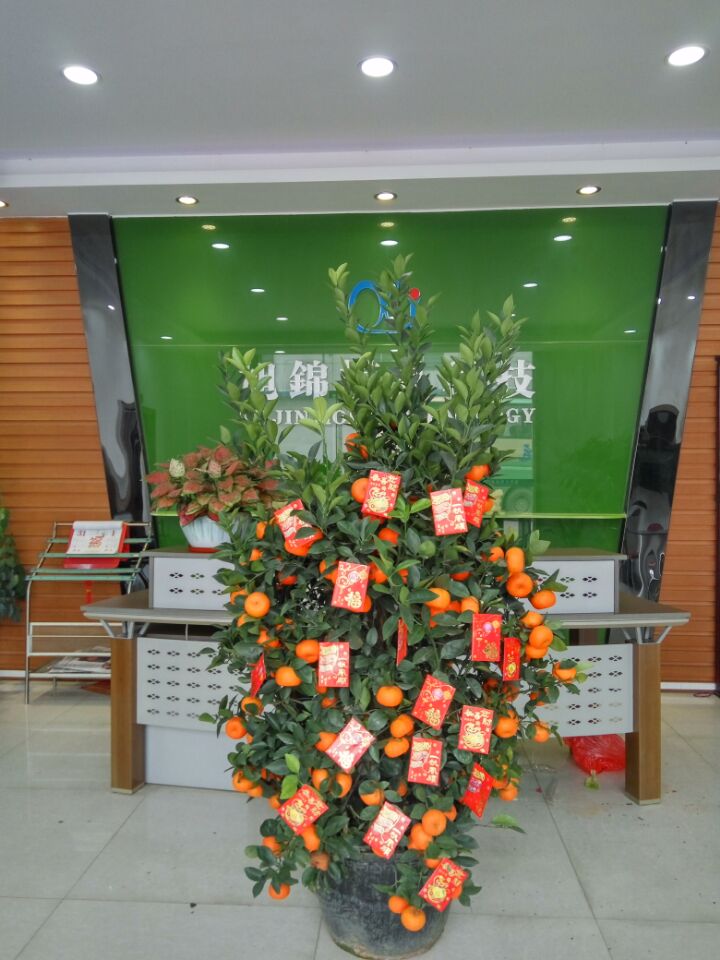 旭錦塑膠模具&mdash;&mdash;大吉大利